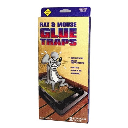 Catchmaster Atlantic Paste Rat Glue Trap Dead End, 2PK 1402